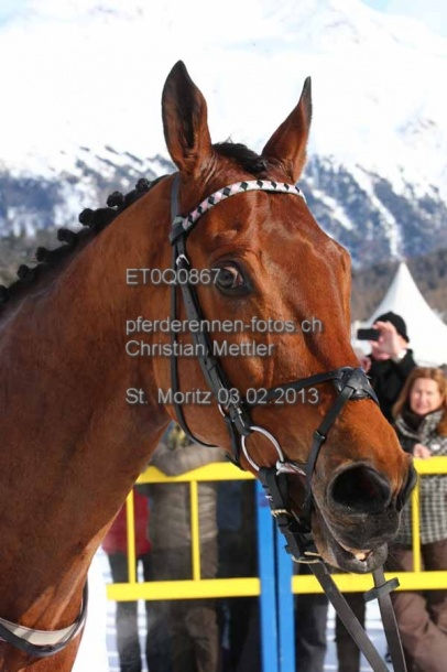 ET0Q0867 prot